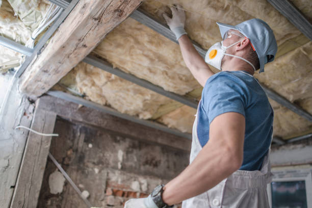 Best Insulation Maintenance and Repair in Hendron, KY